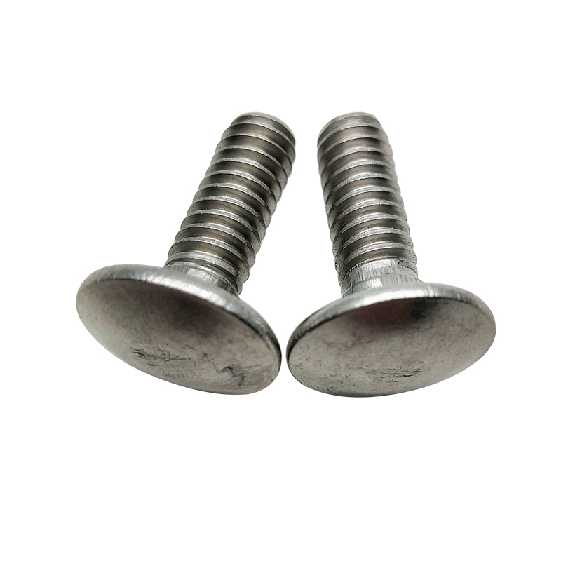 304 carriage bolt