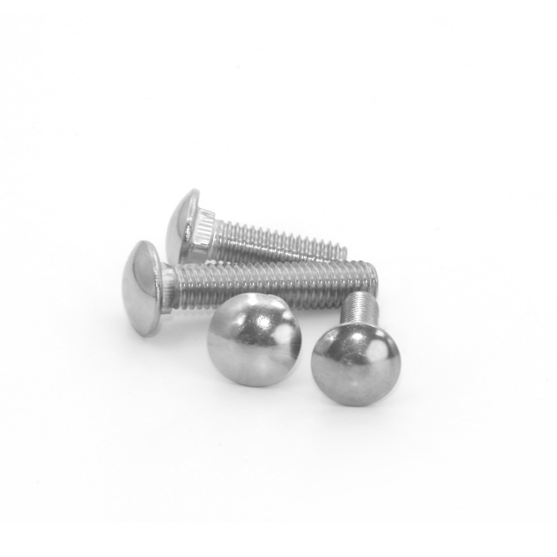 304 carriage screw